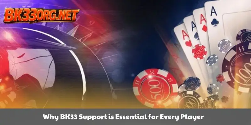 Why does BK33 support always stand out?